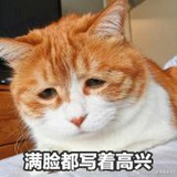 爱偷吃的哈士奇