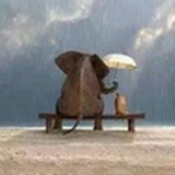 聖川