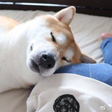 奇怪的落差