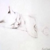 莫小妖