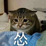 豆友188311652