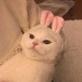 kiki