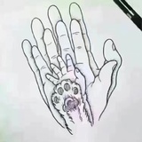 咪咪猫