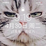土耳