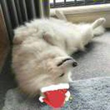 潇.