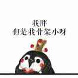 小急躁 _ 🧀