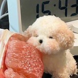 看啥看你管我