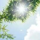 叛逆才有自由