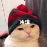 如是