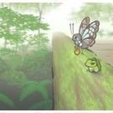 侯森森