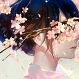 彼岸花开开彼岸