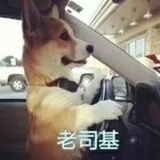 开黑么我会喊666