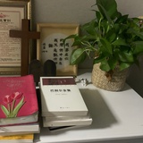 村之春