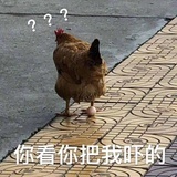 唉小鱼干