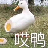 Chenkaka310
