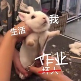 壹贰