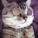 新青年