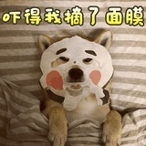 豆友188531719