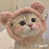 啊啊啊