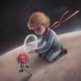 青梅一歌