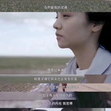 十一