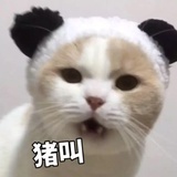 迟早拉闸
