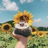 🌟🌈🏠一起去旅行