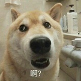 我你不认识吗