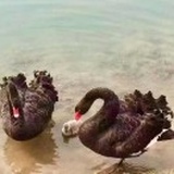 天立教育|汤长春