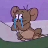 快乐小猫咪