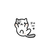 cookie