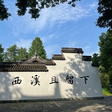 杨柳岸