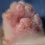 粉色猫爪