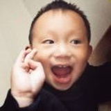 不羁鸟