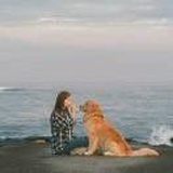 一棵瘦瘦精