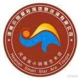 A河南省小明星