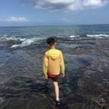 天露