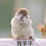 一身月ii