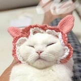 来半斤瓜子