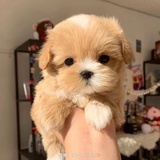 豆友189121194