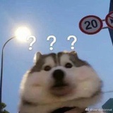 小撒包