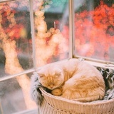 茜嘻嘻