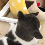 豆友189150412