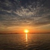 孙晨