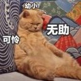 hhy