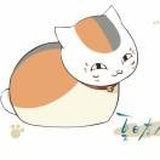猫咪老师
