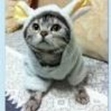 君若只如初见