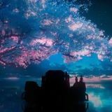 浮光掠影