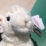 麦乐鸡啊