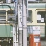 青雀